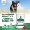 51Cn6Ujr2tL._AC_.jpg Doggie Dailies Glucosamine for Dogs - Advanced Hip and Joint Supplement
