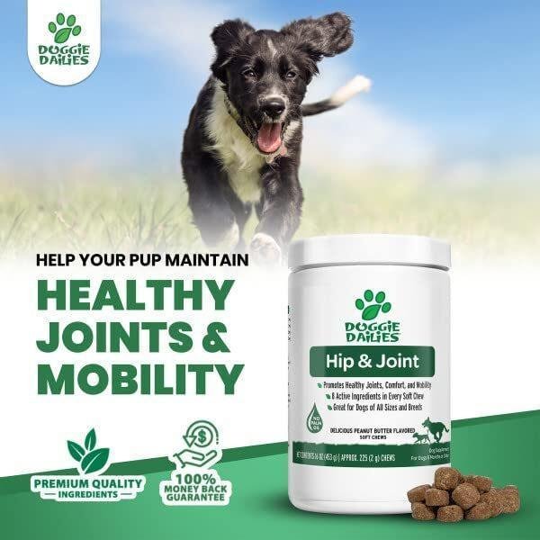 51Cn6Ujr2tL._AC_.jpg Doggie Dailies Glucosamine for Dogs - Advanced Hip and Joint Supplement