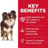 How Hill’s Science Diet Small & Mini Breed Sensitive Stomach Dog Food Can Help Your Dog