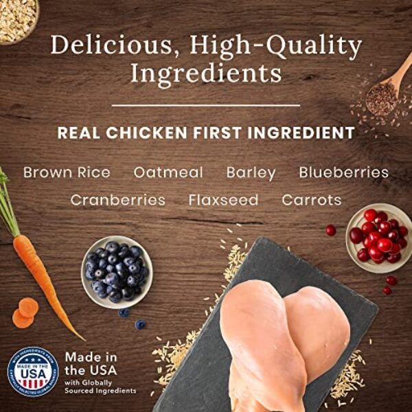 Blue Buffalo Wilderness Small Breed Adult Dry Dog Food | High Protein Nutrition