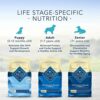 Blue Buffalo Life Protection Formula Natural Adult Dry Dog Food - Buy Now!