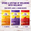 Small Breed Wellness Dog Food with Grains - Natural Ingredients, Made in USA | Wellness Complete Health