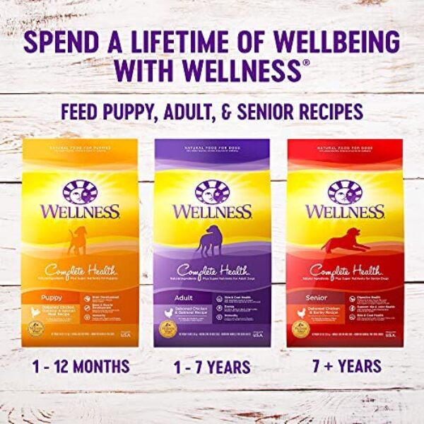 Small Breed Wellness Dog Food with Grains - Natural Ingredients, Made in USA | Wellness Complete Health