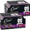 Premium Gourmet Dog Food Variety Pack | CESAR CLASSICS: Filet Mignon & Porterhouse Steak Flavors