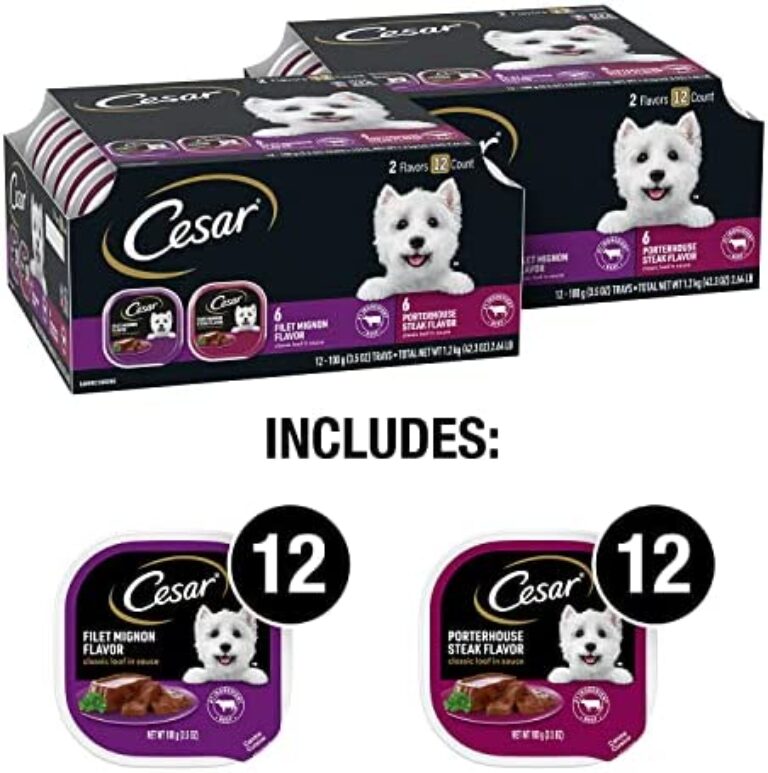 Premium Gourmet Dog Food Variety Pack | CESAR CLASSICS: Filet Mignon & Porterhouse Steak Flavors