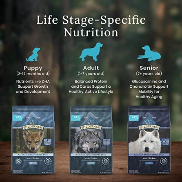 Blue Buffalo Wilderness Small Breed Adult Dry Dog Food | High Protein Nutrition