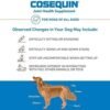 51QydonlrNL._AC_.jpg Joint Health Supplement for Dogs | Nutramax Cosequin with Glucosamine