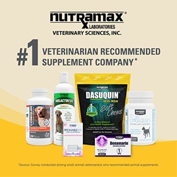 51RSx7hnQ3L._AC_.jpg Nutramax Dasuquin with MSM: Joint Health Supplement for Large Dogs