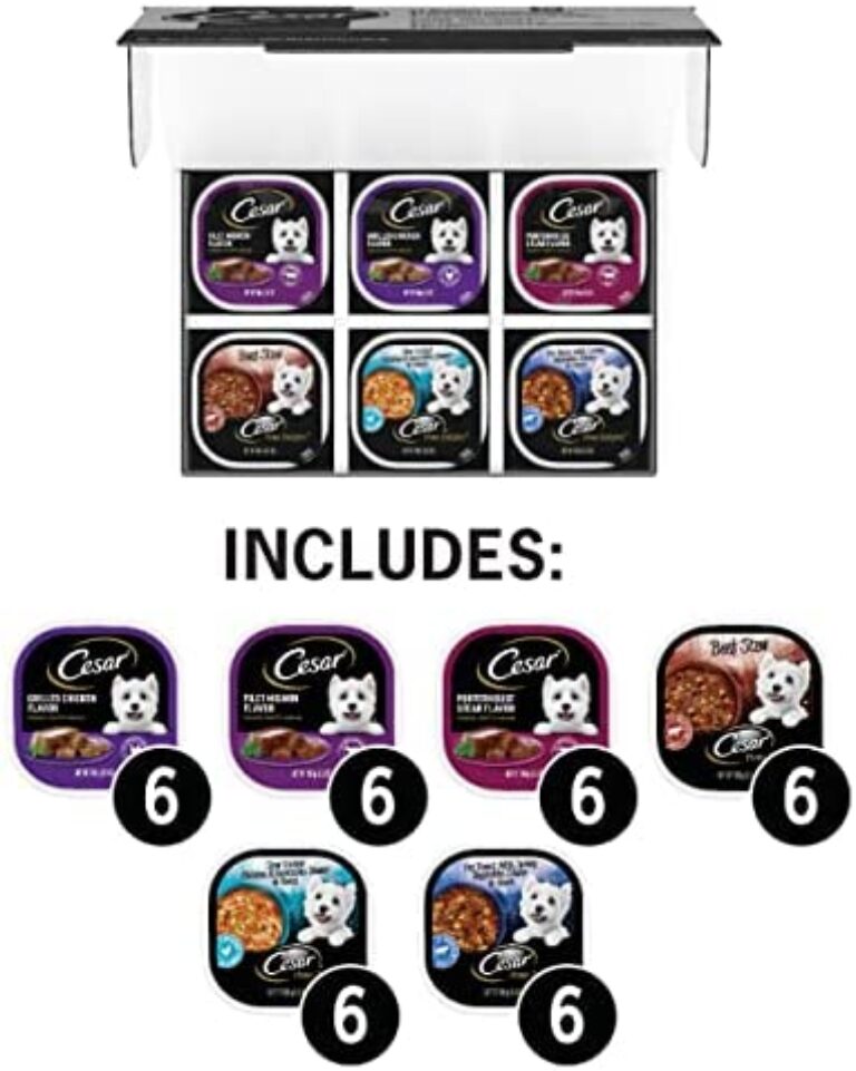 CESAR Gourmet Delights Wet Dog Food Variety Pack | Irresistible Flavors