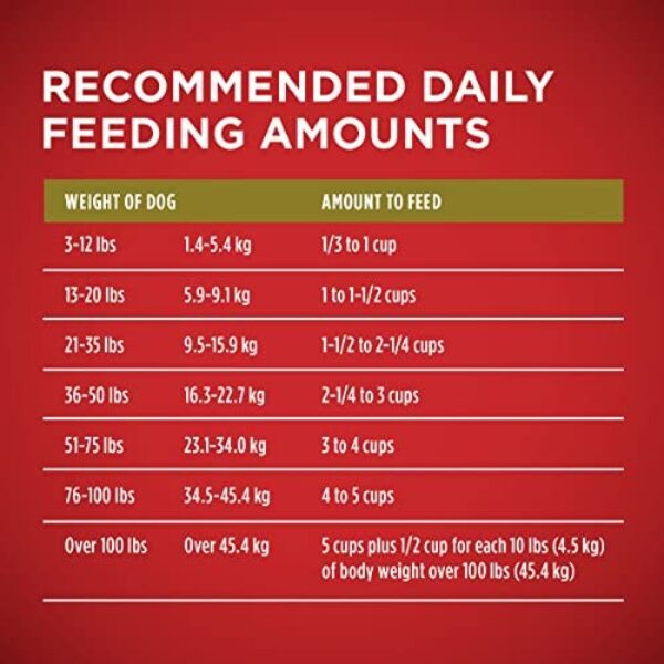 Purina ONE Dry Dog Food with Lamb and Rice Formula: Premium Nutrition for Dogs