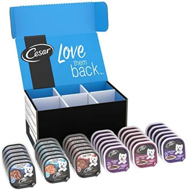 CESAR Gourmet Delights Wet Dog Food Variety Pack | Irresistible Flavors