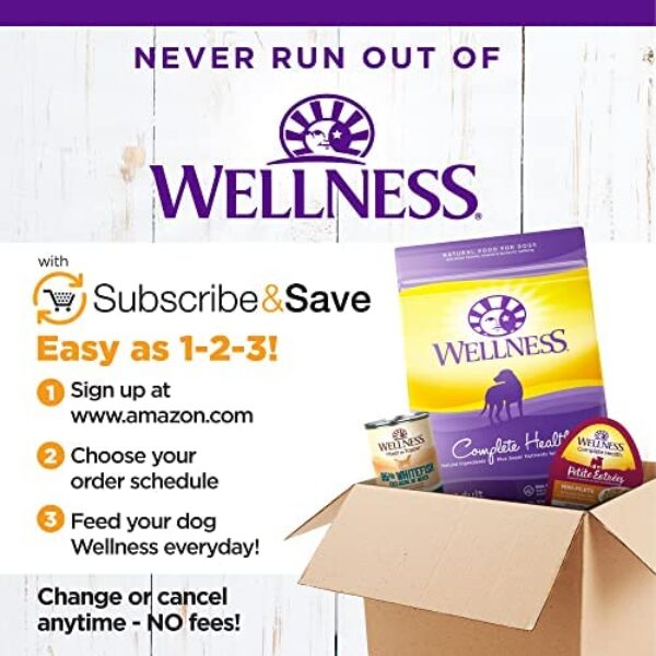 Small Breed Wellness Dog Food with Grains - Natural Ingredients, Made in USA | Wellness Complete Health