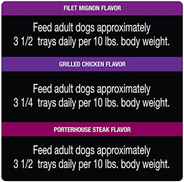 CESAR Gourmet Delights Wet Dog Food Variety Pack | Irresistible Flavors