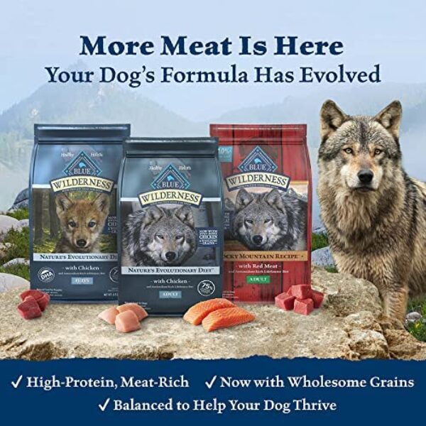 Blue Buffalo Wilderness Small Breed Adult Dry Dog Food | High Protein Nutrition