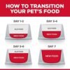 How Hill’s Science Diet Small & Mini Breed Sensitive Stomach Dog Food Can Help Your Dog