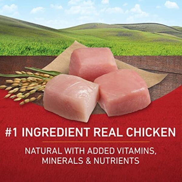 51f6bD0A9KL._AC_.jpg Purina ONE Chicken and Rice Formula Dry Dog Food - 16.5 lb. Bag