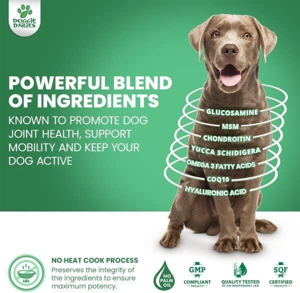 51fepaIGYtL._AC_.jpg Doggie Dailies Glucosamine for Dogs - Advanced Hip and Joint Supplement