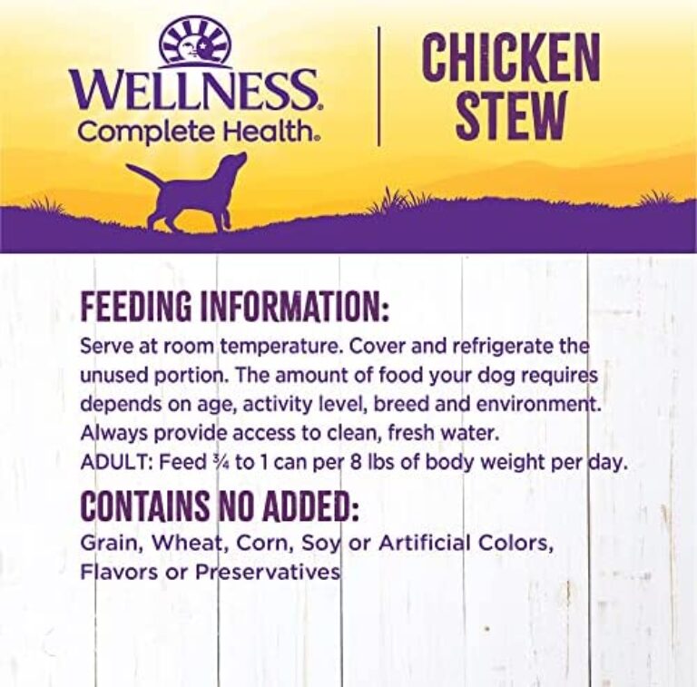 Wet Wellness Journey: Luxury Products for a Refreshing Path to Well-being