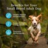 Blue Buffalo Wilderness Small Breed Adult Dry Dog Food | High Protein Nutrition
