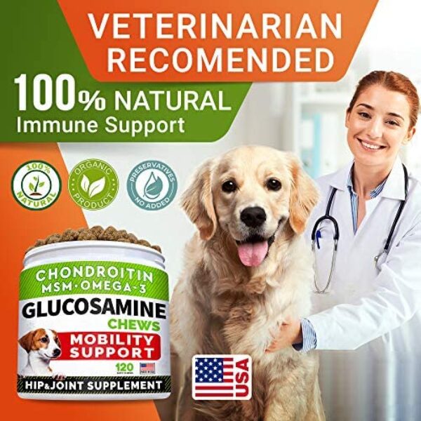 Glucosamine Treats for Dogs with Joint Supplement: Enhance Mobility & Flexibility