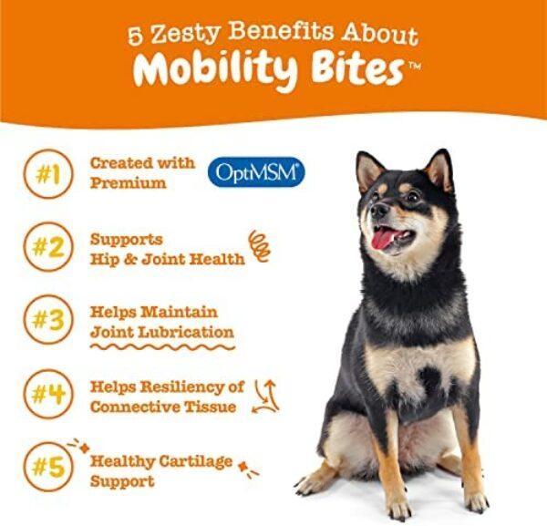 51lBqIOF65L._AC_.jpg Glucosamine for Dogs - Joint Health Soft Chews | Buy Now