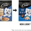 51lJMiqBR4S._AC_.jpg CESAR Small Breed Dry Dog Food - Rotisserie Chicken Flavor with Spring Vegetables Garnish