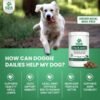 51lhxS-NZNL._AC_.jpg Doggie Dailies Glucosamine for Dogs - Advanced Hip and Joint Supplement