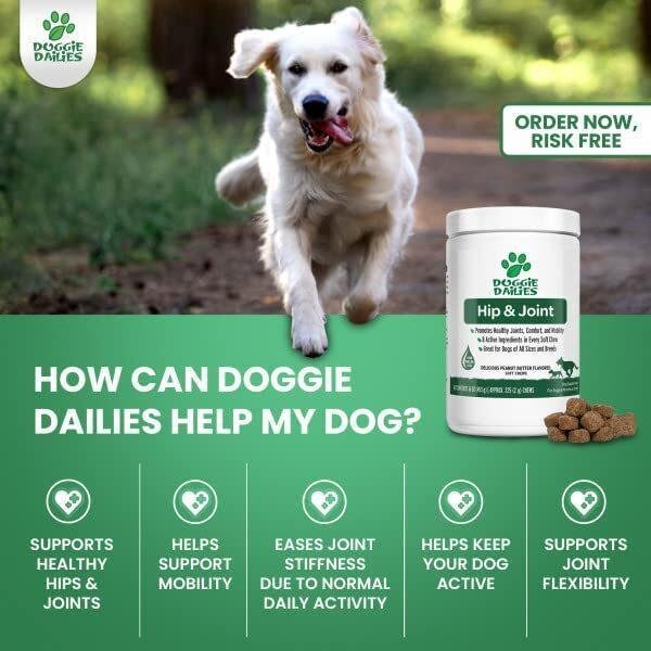 51lhxS-NZNL._AC_.jpg Doggie Dailies Glucosamine for Dogs - Advanced Hip and Joint Supplement