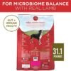 Purina ONE Dry Dog Food with Lamb and Rice Formula: Premium Nutrition for Dogs