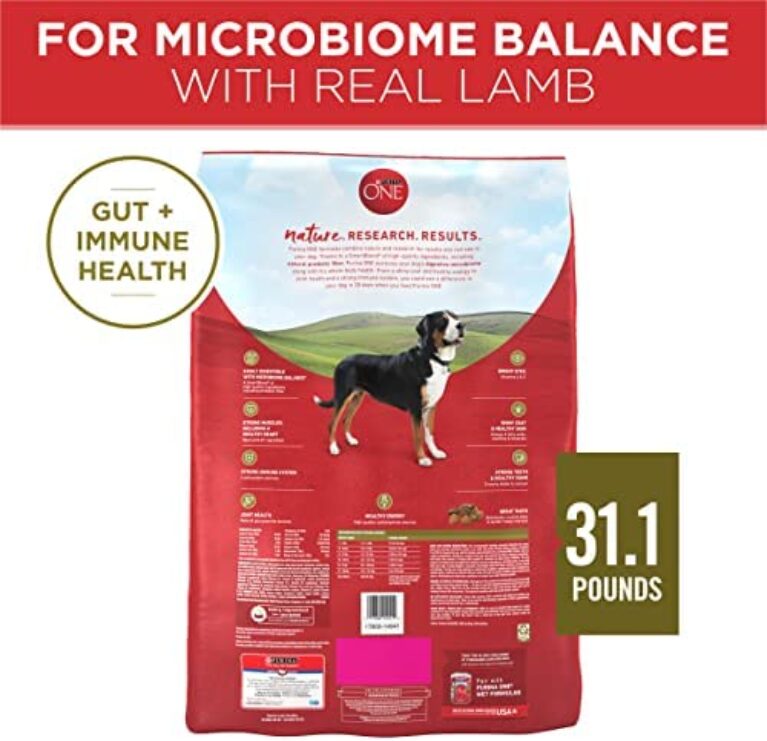 Purina ONE Dry Dog Food with Lamb and Rice Formula: Premium Nutrition for Dogs
