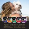 CESAR Gourmet Delights Wet Dog Food Variety Pack | Irresistible Flavors