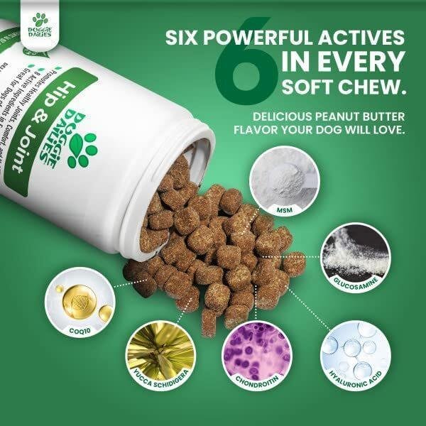 51qKJ5TB1-L._AC_.jpg Doggie Dailies Glucosamine for Dogs - Advanced Hip and Joint Supplement