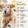 Premium Human Grade Variety Pack for Dogs | Gourmet Dog Food