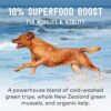 51sZy55G9HL._AC_.jpg Natural Dog Food Superfoods | ZIWI Peak Air-Dried