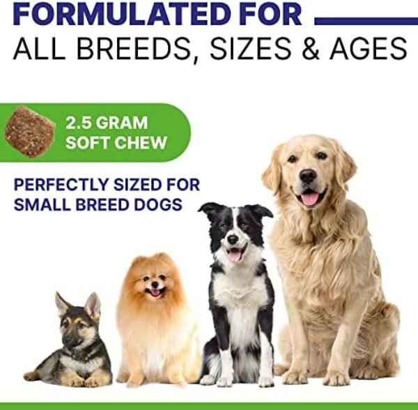 51teEOczJZL._AC_.jpg Hemp Dog Treats for Joints Health - Natural Joint Pain Relief | Buy Online