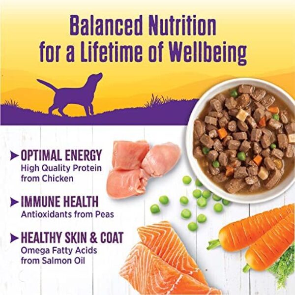 Wet Wellness Journey: Luxury Products for a Refreshing Path to Well-being