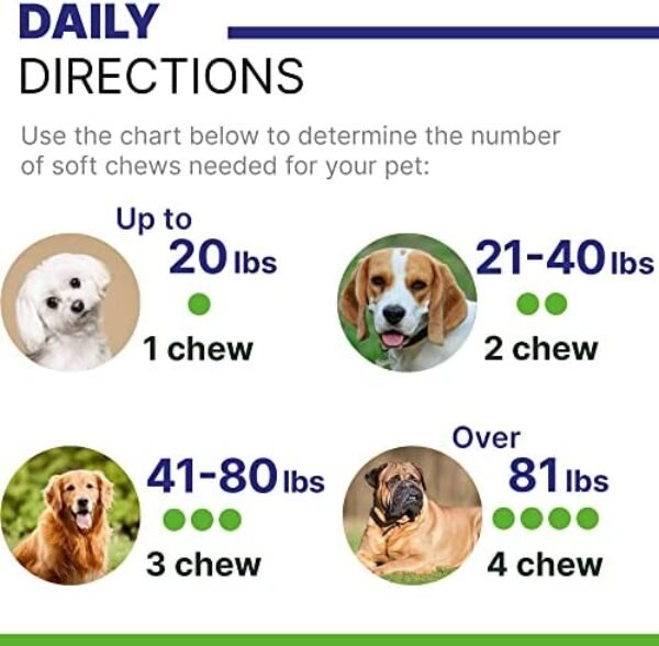 51v6UldYRfL._AC_.jpg Hemp Dog Treats for Joints Health - Natural Joint Pain Relief | Buy Online