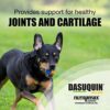 51wtttaYANL._AC_.jpg Nutramax Dasuquin with MSM: Joint Health Supplement for Large Dogs