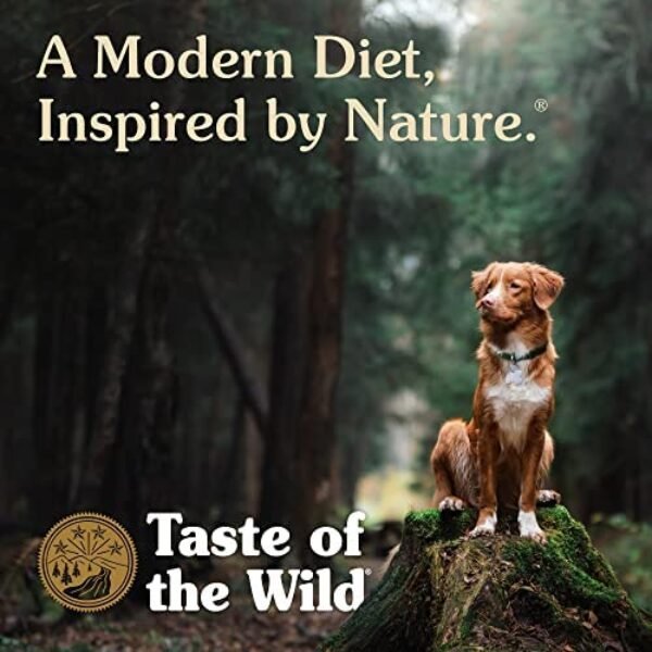 51yecZPZmKL._AC_.jpg Taste of the Wild High Prairie Canine Grain-Free Recipe | Grain-Free Dog Food