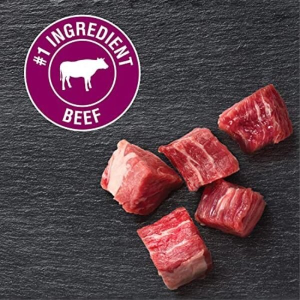 Premium Gourmet Dog Food Variety Pack | CESAR CLASSICS: Filet Mignon & Porterhouse Steak Flavors