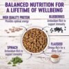 Small Breed Wellness Dog Food with Grains - Natural Ingredients, Made in USA | Wellness Complete Health