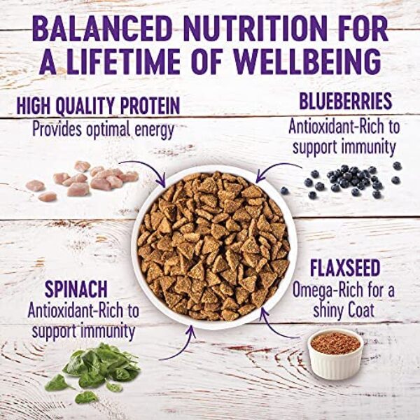 Small Breed Wellness Dog Food with Grains - Natural Ingredients, Made in USA | Wellness Complete Health