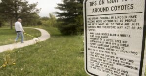 645ea6c616646.preview Barky Supplies Expert Tips