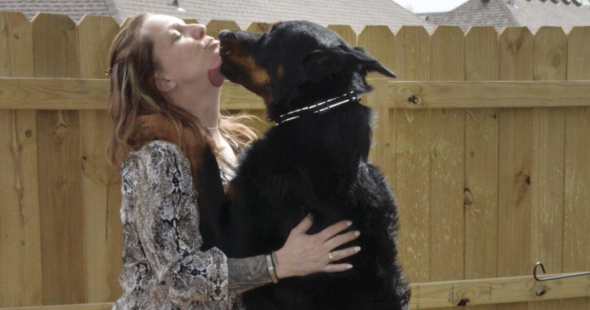 64643c68b8923.image Barky Supplies Expert Tips