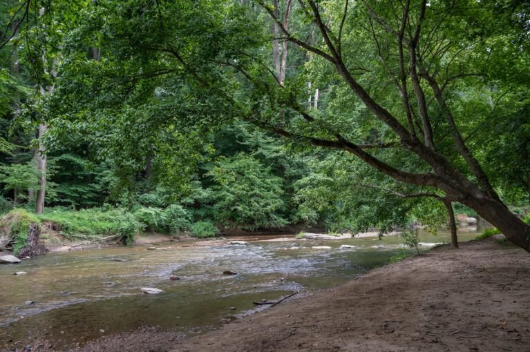 Barky Supplies Expert Tips Beaver attacked by dog, spurs park officials to say: Keep pets on leash 7CEFBIQ5GQI63HHGNASTXUYYMQ.jpgw1440 Barky Supplies Expert Tips