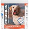 dog supplements for joints