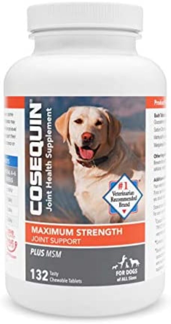 dog supplements for joints
