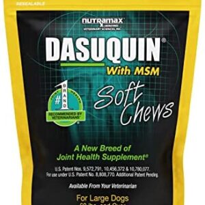 Nutramax Dasuquin with MSM Joint Health Supplement for Large Dogs dog supplements for joints