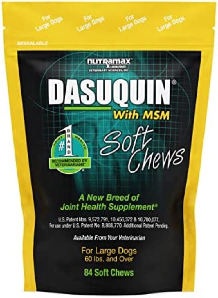 Nutramax Dasuquin with MSM Joint Health Supplement for Large Dogs dog supplements for joints