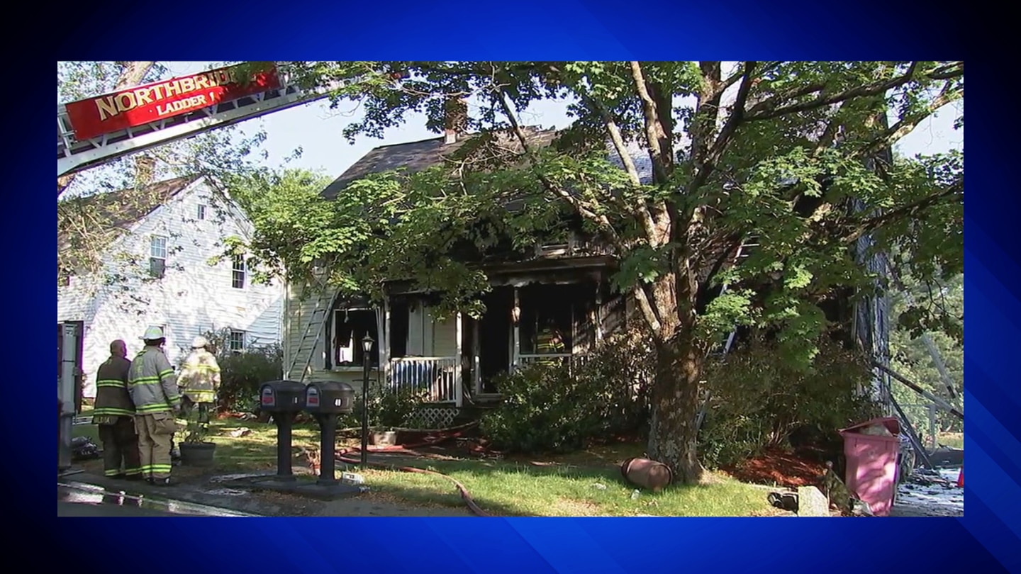 PSCHVYTVCREXRLZJBZ5WWAGAHE Barky Supplies Expert Tips